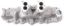 Intake Manifold Ford V8 Flathead Slingshot 38-48