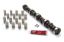 SBF Cam & Lifter Kit