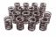 1.460in Valve Springs - BBF