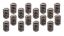 1.540 Valve Spring Set 16