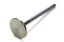 Exhaust Valve - 1.810 (1)