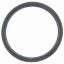 O-Ring - Water Neck Gskt Chevy V8/V6/6.5L Diesel