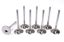 GM LS C/P HS 2.165 Intake Valves
