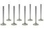 SBC C/P 1.600in Exhaust Valves