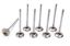 Acura C/6 28mm Exhaust Valves