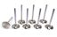 Ford 351C C/6 2.070 Intake Valves