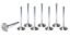 BBF C/6 1.760 Exhaust Valves