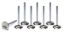 BBM C/6 1.810 Exhaust Valves
