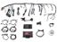Ultimate LS Standalone ECU w/o Trans Control