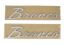 Bronco Script Emblem Kit -Silver