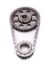 Timing Chain & Gear