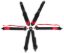 6pt Harness Camlock Black SFI16.5 HNR
