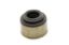Valve Stem Oil Seal - SBC LT4