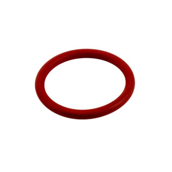 O-Ring Seal - Radiator Outlet 3.6L V6