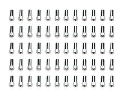 60 Lugnuts SST OE LUG 13/16in 1/2 C