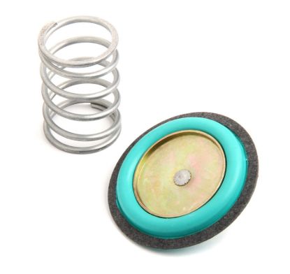 Rebuild Kit for 12-843 Regulator