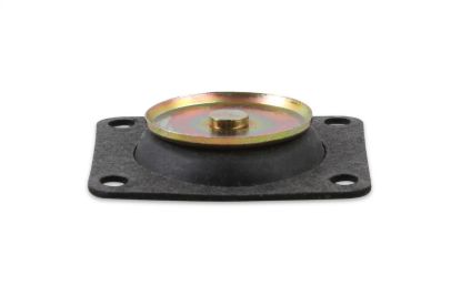Acc. Pump Diaphragm 30cc Pump