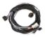 Trans Wire Harness Ford 4R70W/4R75W  1998-Up