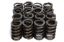 1.265 Valve Springs w/ Damper
