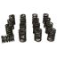 1.265 Valve Spring Set 16pk Single w/Damper