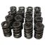 Dual Valve Springs - 1.437