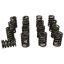 1.525 Valve Single Valve Springs w/Damper (16)