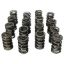 Dual Valve Springs - 1.557