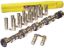 Hyd Roller Cam & Lifter Kit - BBC