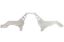 LS Front Engine Plate 78-88 GM G-Body