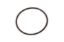 Rod Guide O-Ring Secondary