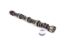 SBC Hydraulic Cam 296 Mega