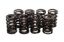 Valve Springs - Nissan SOHC