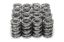 1.570 Dual Valve Spring Set w/Damper (16pk)