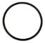 Raised Steel Cap Gasket (Rubber)