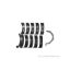 Main Bearing Set  - Ford 5.0L Coyote