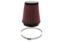 15-  Mustang Shelby 5.2L Air Filter