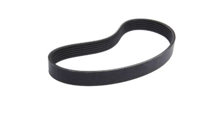 6-Rib Serp. Belt 34.5in