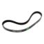 6-Rib Serp. Belt 36.5in