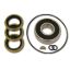 P/S Pump Seal Kit with Bearing