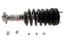 Shock/Strut Each