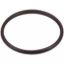 Thermostat Housing O-Ring Ford 4.6L