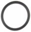 EFI Throttle Body O-Ring 05-10 Hemi 6.1L