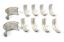 Main Bearing Set