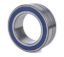 Pavement Birdcage 6014 Bearing