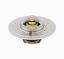 Thermostat 160 Deg