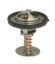 Thermostat 160 Degrees GM LS1