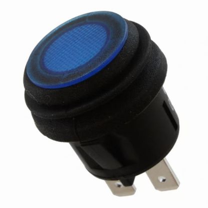 Momentary Push Button