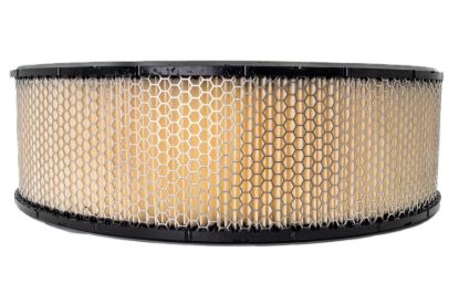 Filter Air 14in Dia x 5in Street