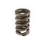 1.260 Single Valve Spring w/Damper (1)