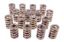 1.244 Dual Valve Springs (16)
